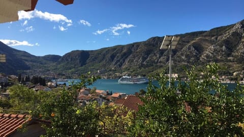 Apartment Apollo Apartment in Dobrota