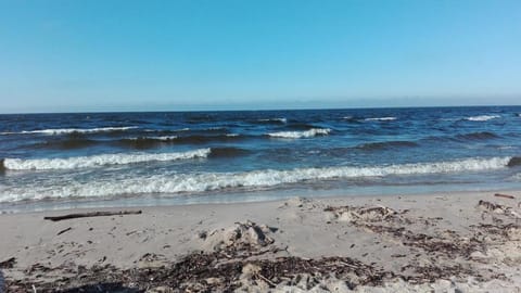 Sobie-Wyspa Domki pod Brzozami Nature lodge in Gdansk