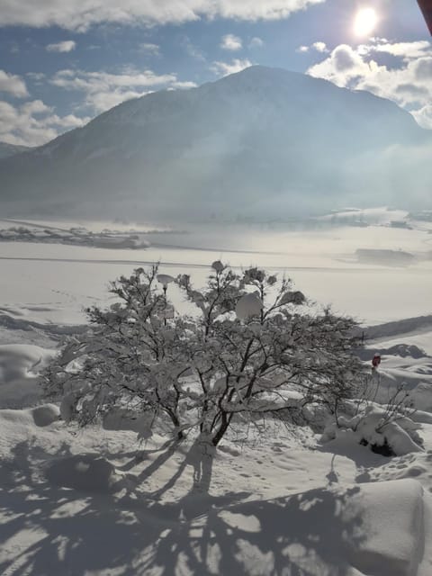 Haus Waldegg Apartment in Salzburgerland