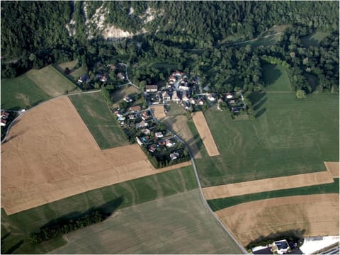 Activities, Bird's eye view