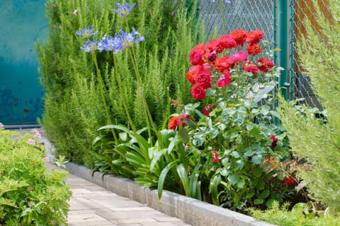 Garden apartment Apartment in Dubrovnik-Neretva County