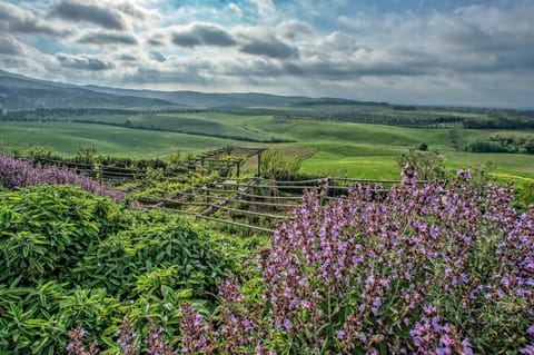 Natural landscape