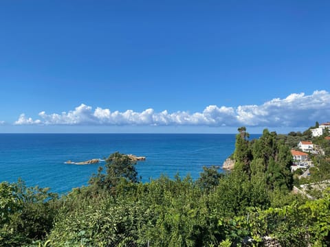 Natural landscape, Sea view