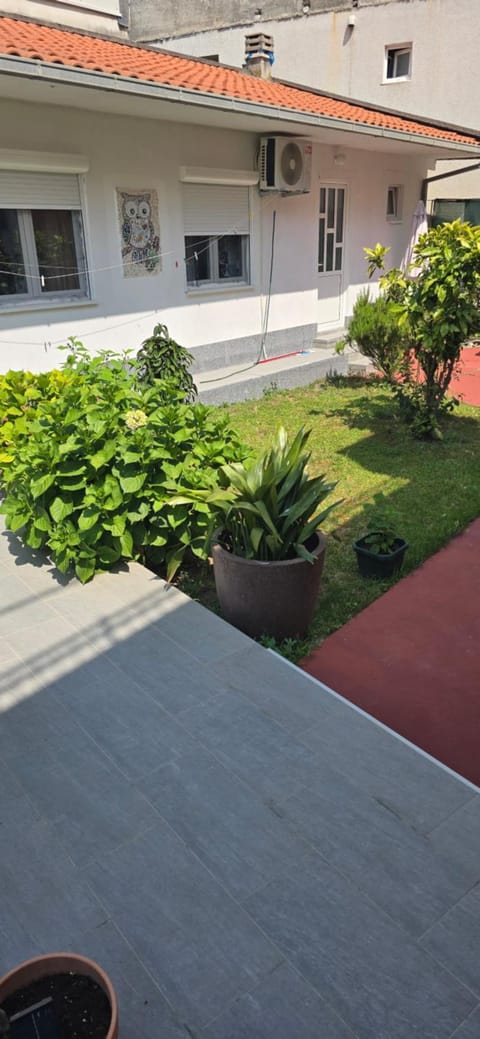 Apartment Aleksandra Apartment in Montenegro