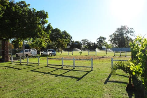 African Adventures Accommodation Bed and Breakfast in Cape Town