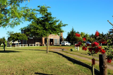 African Adventures Accommodation Bed and Breakfast in Cape Town