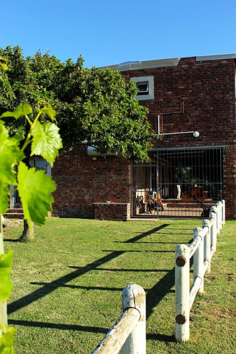 African Adventures Accommodation Bed and Breakfast in Cape Town