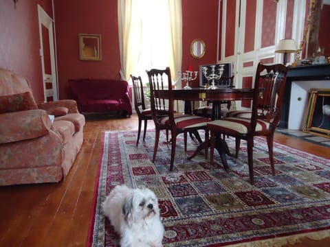Living room, Decorative detail
