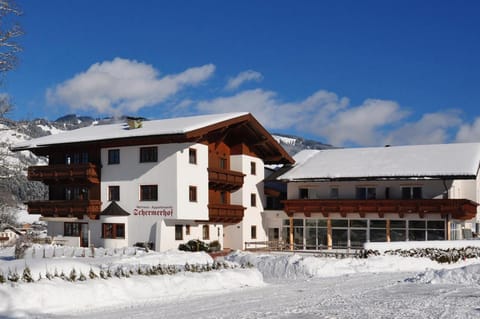 Neighbourhood, Winter