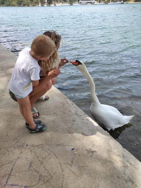 Tonka Mini Apartment in Šibenik-Knin County, Croatia