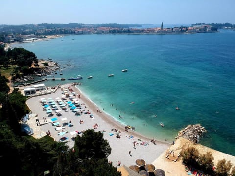 Minigolf, Table tennis, Beach, Tennis court, Windsurfing, Canoeing, Cycling, Sports