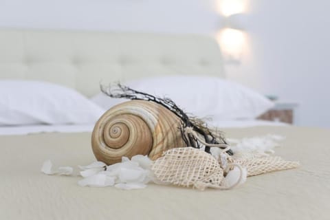 White Aurora rooms House in Porto Cesareo