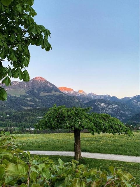 Pension Kohlhiasl Bed and Breakfast in Schönau am Königssee