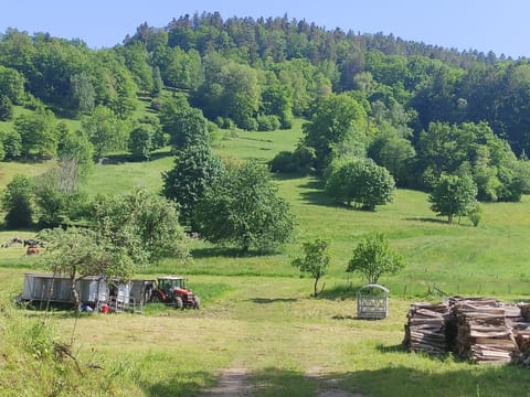 Day, Natural landscape