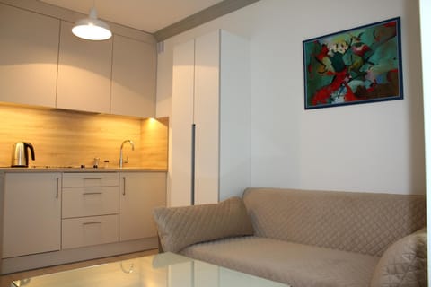 Preilos Vėtra 1 Apartment in Klaipėda County, Lithuania