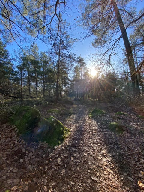 L'Hôtié de Brocéliande, au coeur des sites naturels et légendaires Bed and Breakfast in Paimpont