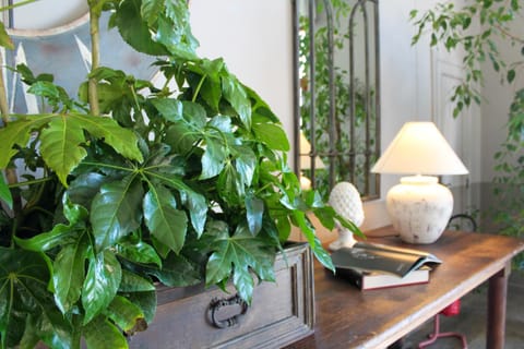 Lobby or reception, Decorative detail