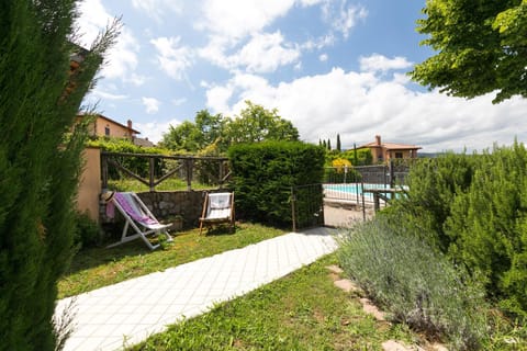 Garden, Garden, Pool view