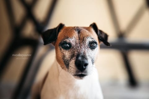 B&B DOMU INCANTO Sa Domu sarrabesa Bed and Breakfast in Muravera