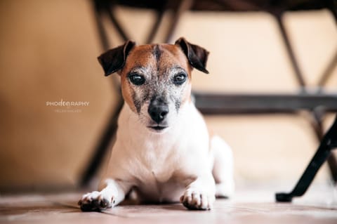 B&B DOMU INCANTO Sa Domu sarrabesa Bed and Breakfast in Muravera