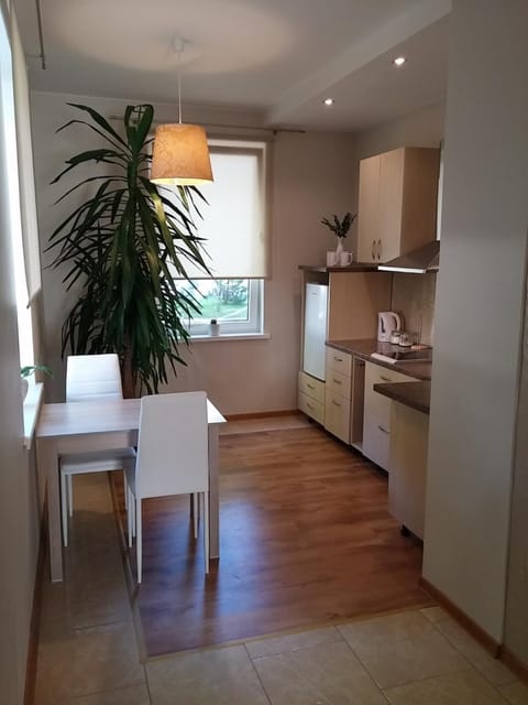 Jaukus butas Šiaulių miesto centre Apartment in Lithuania