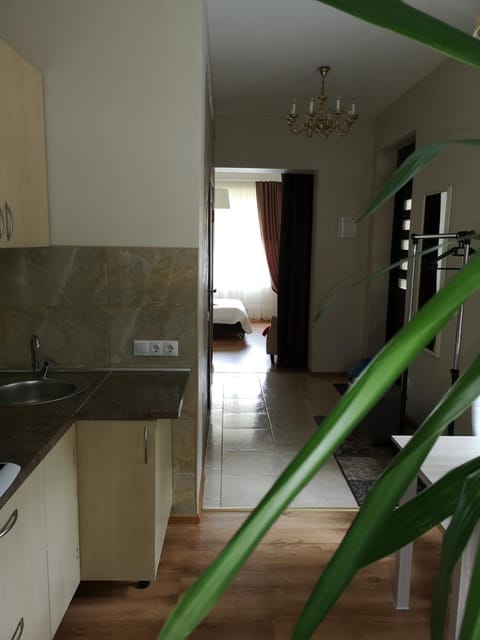 Jaukus butas Šiaulių miesto centre Apartment in Lithuania