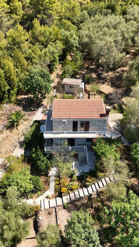 Property building, Natural landscape