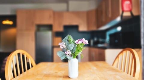 Clarion Village Apartment in Sligo