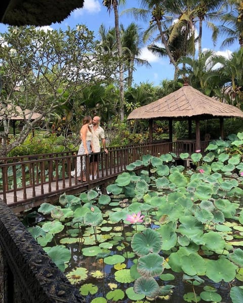 Property building, View (from property/room), View (from property/room)