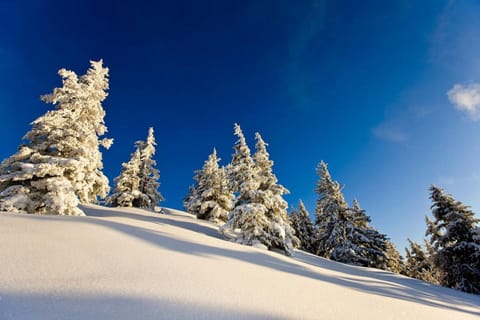 Day, Natural landscape, Winter