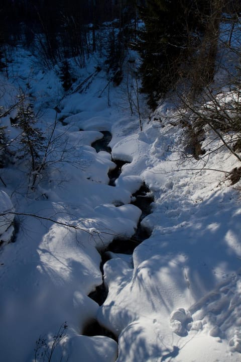 Natural landscape, Winter