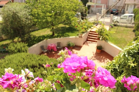 Patio, Spring, Day, Garden, Garden view