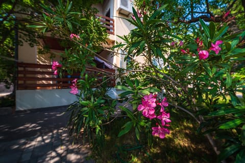 Vacation house Anna House in Zadar County