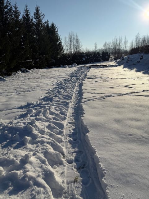 Apartamenty Euphoria Apartment in Lithuania