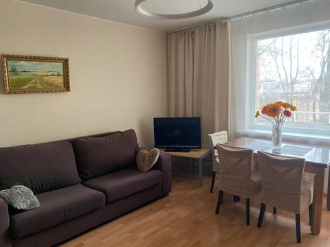 Amber apartamentai Apartment in Lithuania
