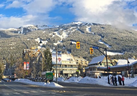 Winter, Mountain view