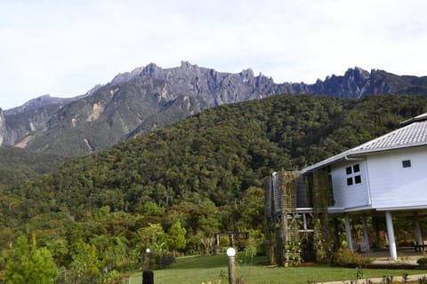 Neighbourhood, Mountain view