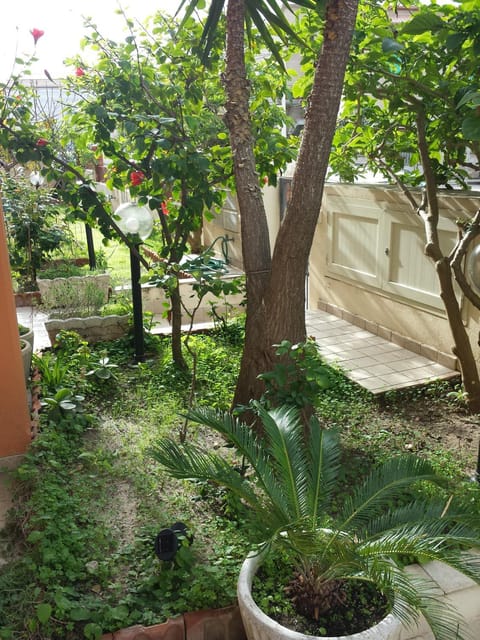 Spring, Garden, Garden view