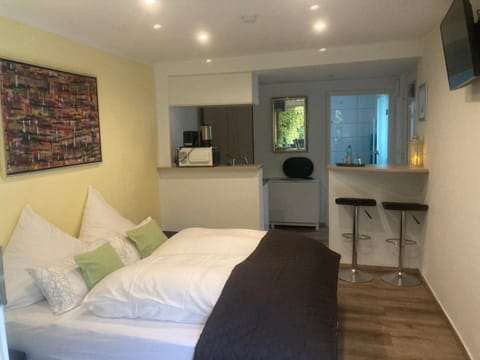 TV and multimedia, Kitchen or kitchenette, Photo of the whole room, Dining area, Bedroom