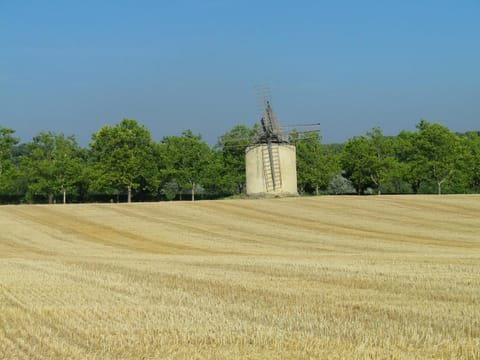 Nearby landmark, Natural landscape