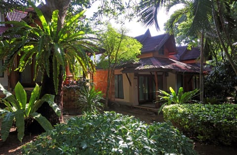 Natural landscape, Garden, Garden view