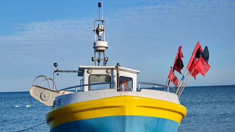 Nearby landmark, Natural landscape, Activities, Beach, Location