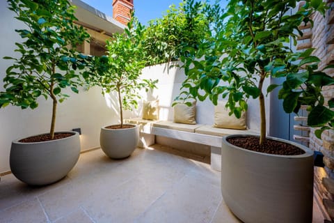 Day, Garden, Balcony/Terrace