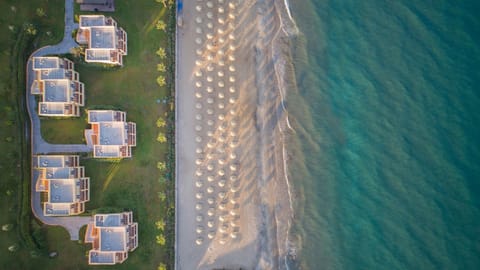 Natural landscape, Bird's eye view, Beach