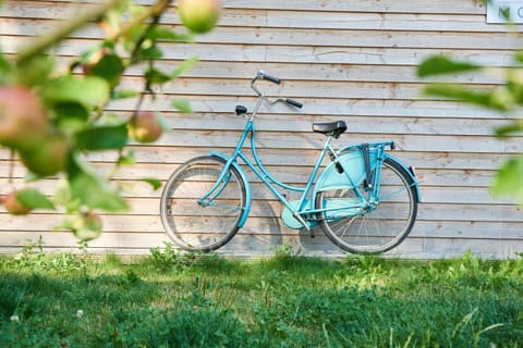 Activities, Cycling, Area and facilities