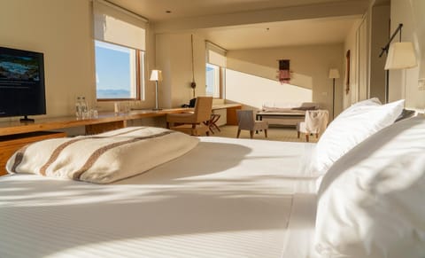 Bed, TV and multimedia, Living room, Photo of the whole room, Seating area, Bedroom