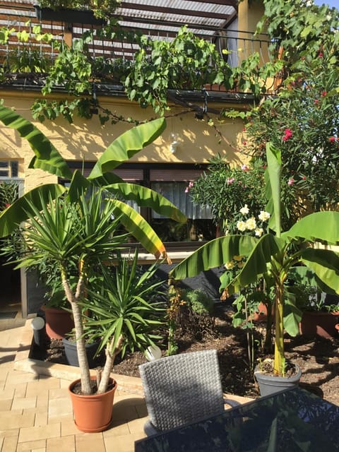 Bed and Breakfast - Rheingauer Hof Bed and Breakfast in Oestrich-Winkel