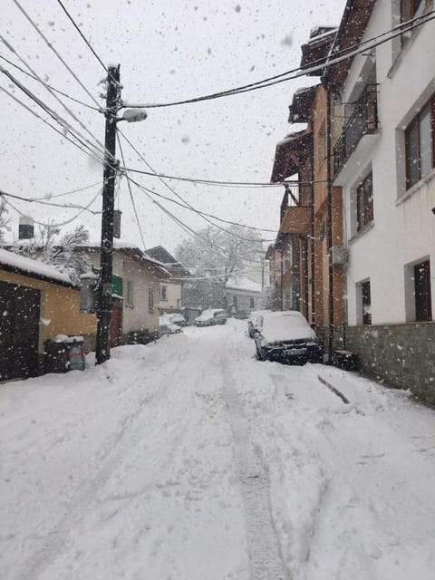 Natural landscape, Winter