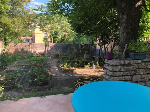 Balcony/Terrace, Garden view
