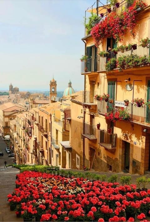 Nearby landmark, Spring, Day, Neighbourhood, Natural landscape, View (from property/room), Balcony/Terrace, City view, Street view